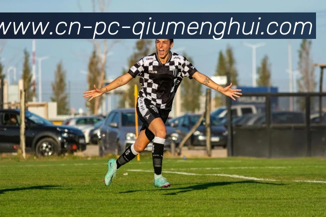 App Interface Preview